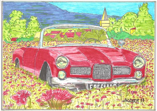 Facellia dans les Phacelias